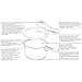 WMF Perfect Plus Schnellkochtopf 2,5l, Cromargan Edelstahl poliert, 2 Kochstufen Einhand-Kochstufenregler, induktionsgeeignet, spülmaschinengeeignet, Ø 18 cm - 18
